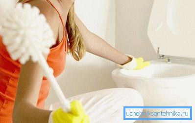 Kartáč je nezbytným nástrojem pro každé WC.