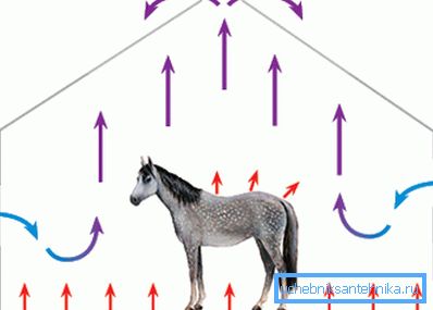 Přírodní větrání ve stáji na úkor samotných zvířat Přírodní větrání ve stáji na úkor samotných zvířat