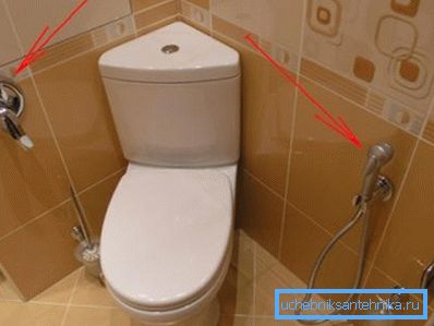 Hygienický typ duše.