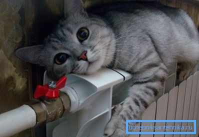 Konečným cílem jsou teplé baterie. Konečným cílem jsou teplé baterie.