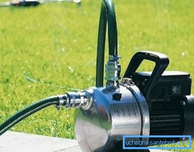 Na fotografii - demokratickou volbou pro studnu Dacha, její hlava stačí k vodě postele