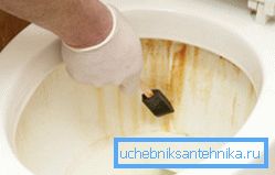 Na fotografii: hnědé skvrny a skvrny zkazí vzhled toalety Na fotografii: hnědé skvrny a skvrny zkazí vzhled toalety
