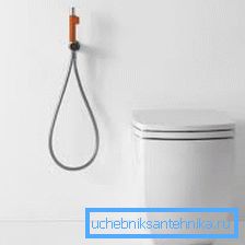 2920 Na fotografii: hygienická sprcha s proplachovaným místem - živý příklad stylového minimalismu v koupelně.