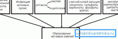 Na obrázku jsou uvedeny příčiny močového kamene.