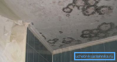 Na fotografii - důsledky nedostatku větrání (pravděpodobně je vůně vhodná)