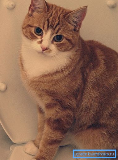 Na fotografii - výsledek použití naší metody.