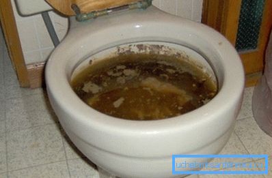 Na toaletu nejsou žádné potíže, než ucpání