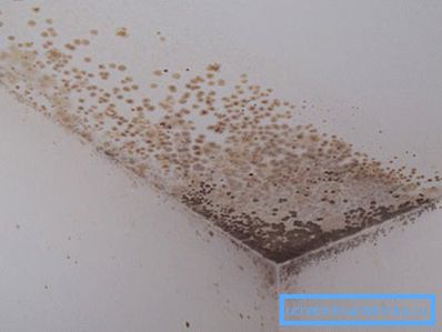 Formování plísní kvůli nedostatečné výměně vzduchu Formování plísní kvůli nedostatečné výměně vzduchu