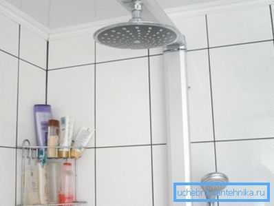 Pravidelné sprchové zavlažování není všechno, co má ráda ... Pravidelné sprchové zavlažování není všechno, co má ráda ...