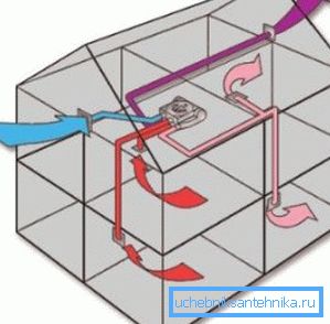 Organizace pohybu vzdušných mas