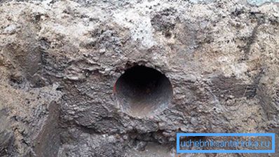 Hole v základně