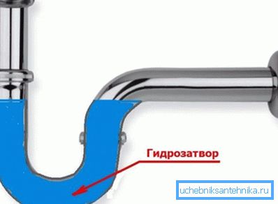 Princip pasti