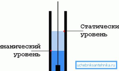 Schéma normálního umístění dynamické a statické úrovně