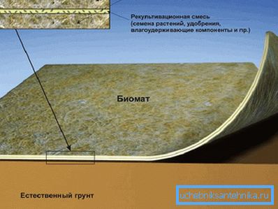 Struktura společnosti Biomat