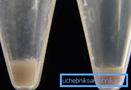 Pevná kvalita granule ve vodě se změnila v kaše