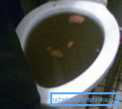 Ucpaná toaleta musí být vyčištěna co nejdříve.